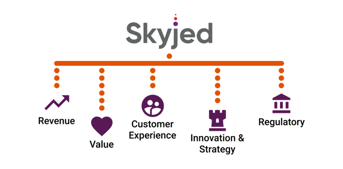 Skyjed 5D Framework of Product Health