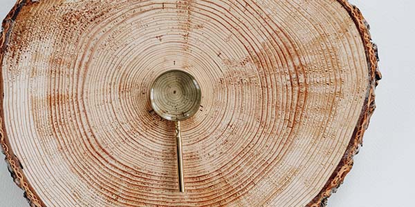 How to set a target market determination for product growth