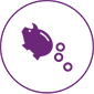 Shape product strategy